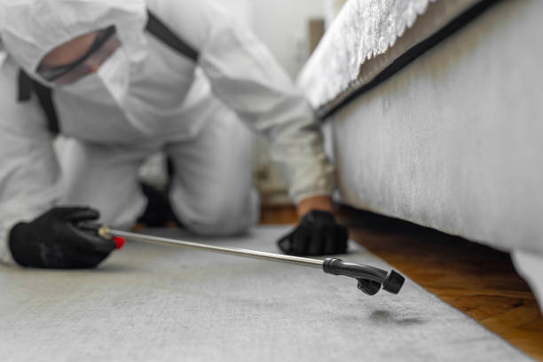 Professional Rodent Control technician working in Bayside, WI