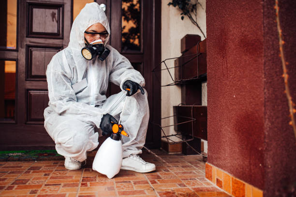 Reliable Rodent Control contractor in Bayside, WI by Nex Pest Control