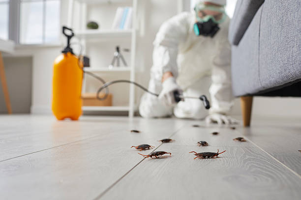 Trusted Rodent Control service in Bayside, WI - Nex Pest Control